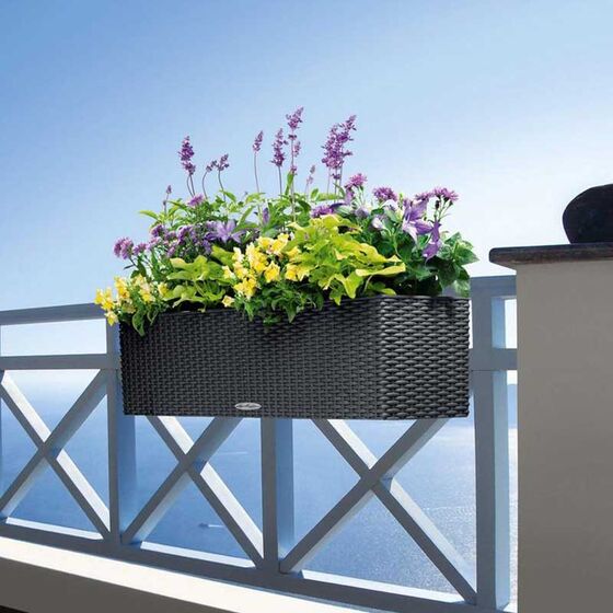 LECHUZA Balconera Cottage80 Ζαρντινιέρα 79x19x19cm Αυτοποτιζόμενη με 2 Δοχεία Φύτευσης Μαύρο του Γραφίτη Γερμανίας RedDot Award 2010