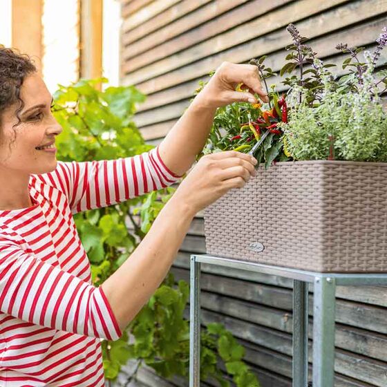 LECHUZA Balconera Cottage50 Ζαρντινιέρα 50x19x19cm Αυτοποτιζόμενη με Δοχείο Φύτευσης Sand Brown Γερμανίας RedDot Award 2010