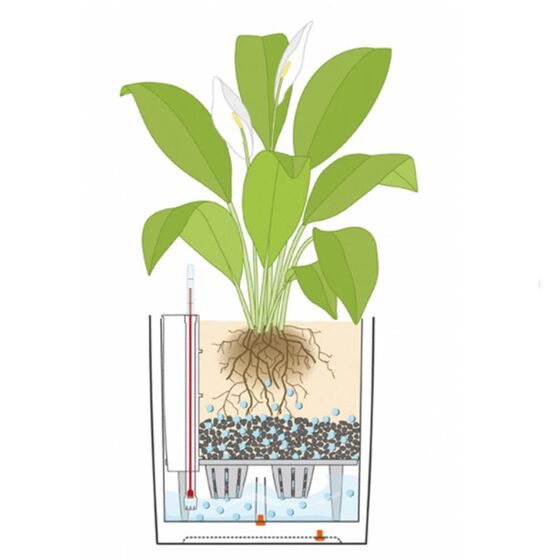 LECHUZA Cube Cottage 50 Επιδαπέδια Γλάστρα 49x49x49.5cm Αυτοποτιζόμενη με Δοχείο Φύτευσης Sand Brown Γερμανίας