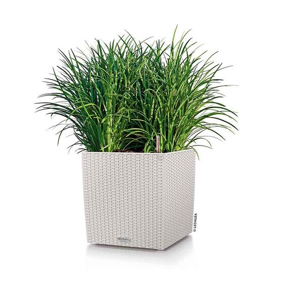 LECHUZA Cube Cottage 40 Επιδαπέδια Γλάστρα 39x39x40cm Αυτοποτιζόμενη με Δοχείο Φύτευσης Light Grey Γερμανίας