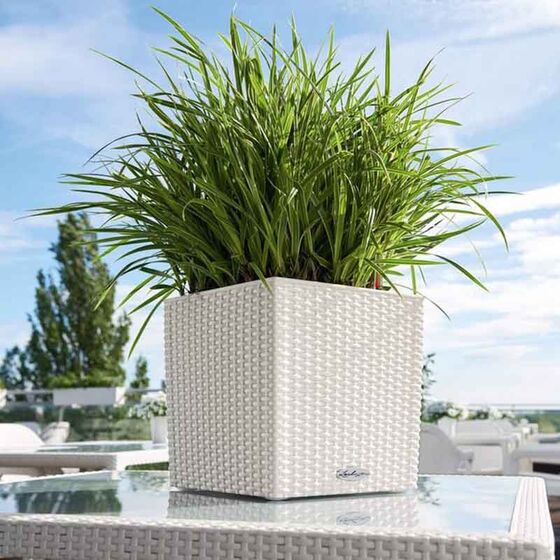 LECHUZA Cube Cottage 40 Επιδαπέδια Γλάστρα 39x39x40cm Αυτοποτιζόμενη με Δοχείο Φύτευσης Light Grey Γερμανίας