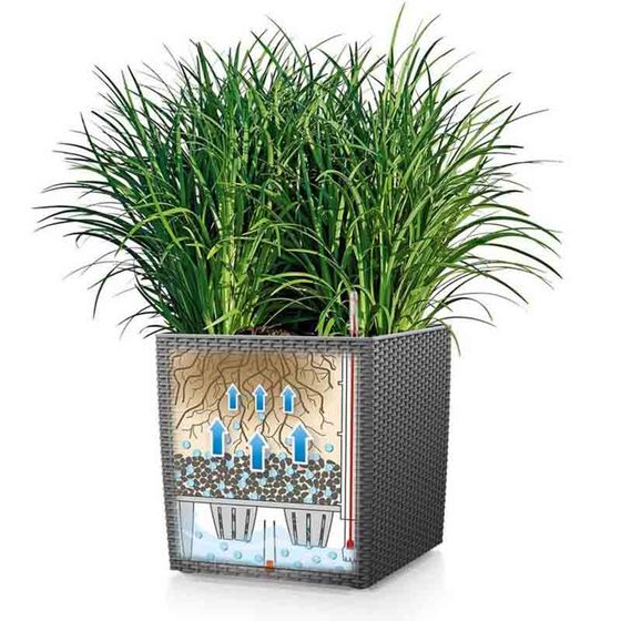 LECHUZA Cube Cottage 40 Επιδαπέδια Γλάστρα 39x39x40cm Αυτοποτιζόμενη με Δοχείο Φύτευσης Sand Brown Γερμανίας