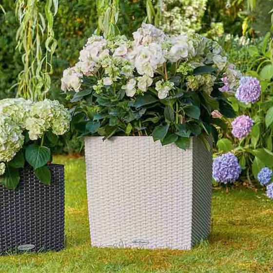 LECHUZA Cube Cottage 50 Επιδαπέδια Γλάστρα 49x49x49.5cm Αυτοποτιζόμενη με Δοχείο Φύτευσης Light Grey Γερμανίας
