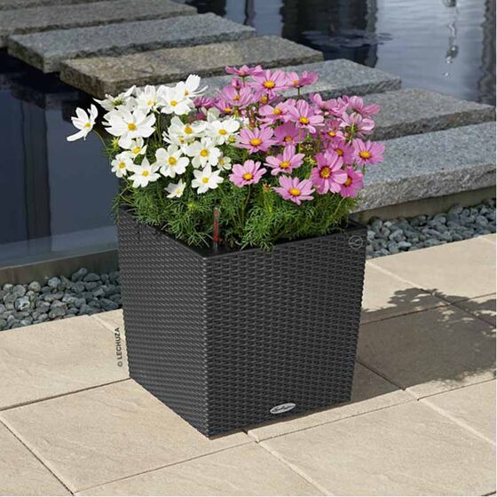 LECHUZA Cube Cottage 40 Επιδαπέδια Γλάστρα 39x39x40cm Αυτοποτιζόμενη με Δοχείο Φύτευσης Μαύρο του Γραφίτη Γερμανίας