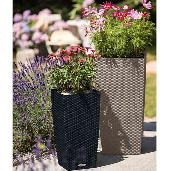 LECHUZA Cubico Cottage 40 Επιδαπέδια Γλάστρα 39.5x39.5x75.5cm Αυτοποτιζόμενη με Δοχείο Φύτευσης Sand Brown Γερμανία