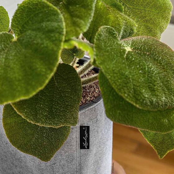 LECHUZA TRENDCOVER Felt 23 Γλάστρα με Φυσική Όψη Τσόχας Ø23x26.5cm Αυτοποτιζόμενη με Δοχείο Φύτευσης Light Grey Γερμανίας