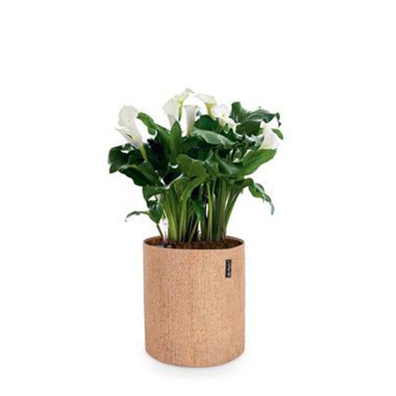 LECHUZA TRENDCOVER Cork 23 Γλάστρα με Φυσική Όψη Φελλού Ø23x26.5cm Αυτοποτιζόμενη με Δοχείο Φύτευσης Light Natural Γερμανίας