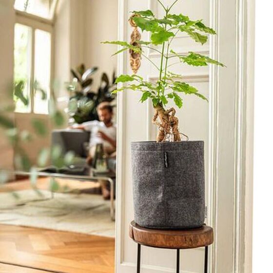 LECHUZA TRENDCOVER Felt 32 Γλάστρα με Φυσική Όψη Τσόχας Ø32x33cm Αυτοποτιζόμενη με Δοχείο Φύτευσης Dark Grey Γερμανίας