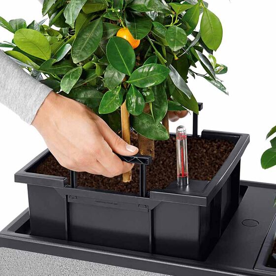 LECHUZA Trio 40 Stone Ζαρντινιέρα 129.5x42x44cm Αυτοποτιζόμενη με 3 Κάδους Φύτευσης Γκρι Όψη Φυσική Πέτρα Γερμανίας