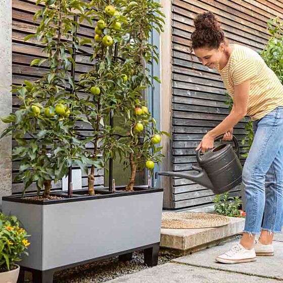 LECHUZA Trio 30 Stone Ζαρντινιέρα 100x32.5x34.5cm Αυτοποτιζόμενη με 3 Κάδους Φύτευσης Γκρι Όψη Φυσική Πέτρα Γερμανίας