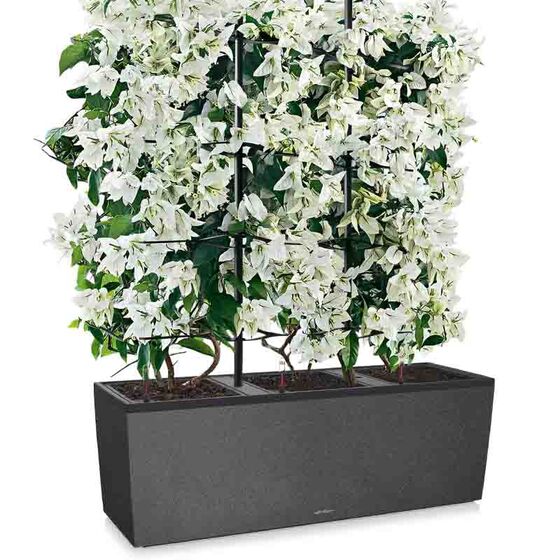 LECHUZA Trio 40 Stone Ζαρντινιέρα 129.5x42x44cm Αυτοποτιζόμενη με 3 Κάδους Φύτευσης Μαύρο του Γραφίτη Όψη Φυσική Πέτρα Γερμανίας