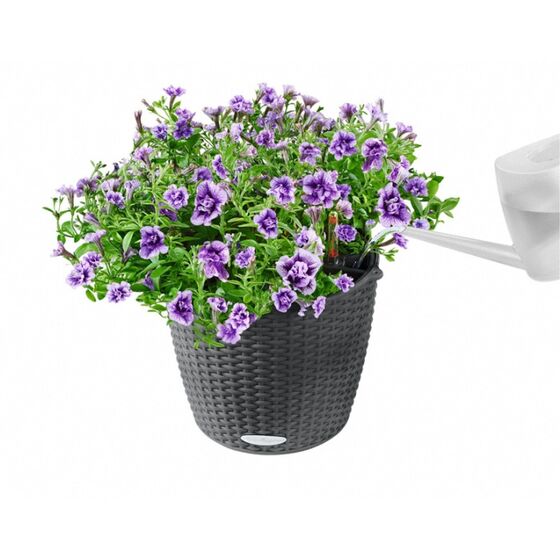 LECHUZA Nido Cottage Κρεμαστή Γλάστρα Ø35x23cm Στρογγυλή Αυτοποτιζόμενη με Δοχείο Φύτευσης Ανοξείδωτο Αξεσουάρ Κρέμασης Μαύρο του Γραφίτη Γερμανίας