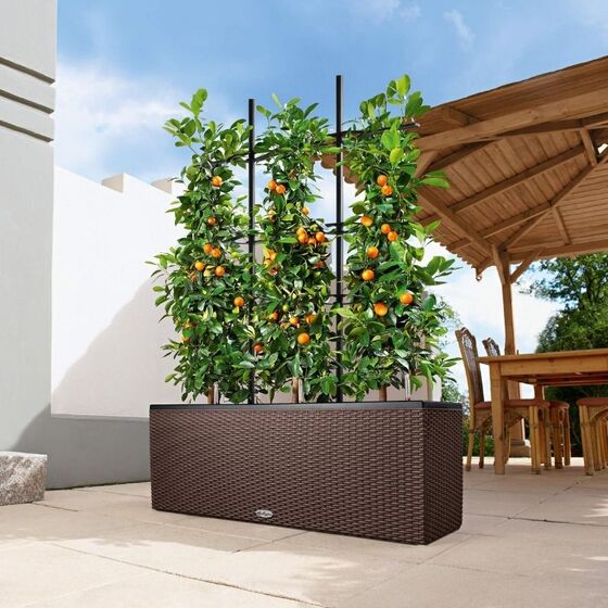 LECHUZA Trio 30 Cottage Ζαρντινιέρα 100x32.5x34.5cm Αυτοποτιζόμενη με 3 Κάδους Φύτευσης Sand Brown RATTAN Γερμανίας