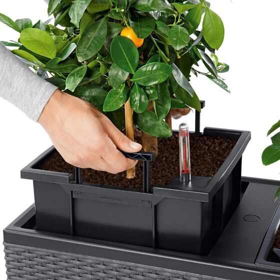 LECHUZA Trio 40 Cottage Ζαρντινιέρα 129.5x42x44cm Αυτοποτιζόμενη με 3 Κάδους Φύτευσης Μαύρο του Γραφίτη RATTAN Γερμανίας