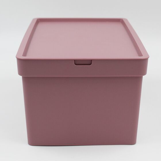 VIOMES Ελλάδας Κουτί Αποθήκευσης 28x18.5x13.5cm Πλαστικό 5lt Βάρος 0.25kg Ροζ Παστέλ Nova