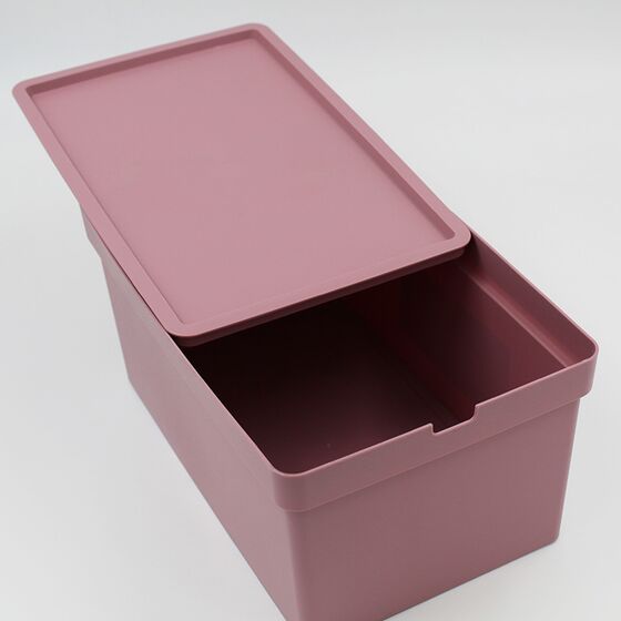VIOMES Ελλάδας Κουτί Αποθήκευσης 28x18.5x13.5cm Πλαστικό 5lt Βάρος 0.25kg Ροζ Παστέλ Nova