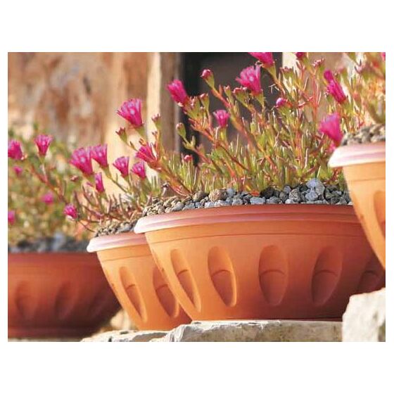 Γλάστρα Μπωλ Βαρέως Τύπου με Πιάτο Ø30x18x13cm 6.2lt Πλαστική Γκρι ALBA BAMA Ιταλίας