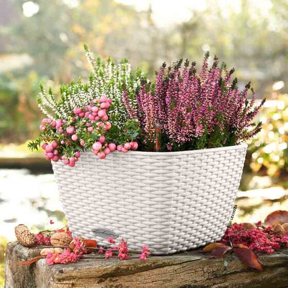 LECHUZA Bacino Cottage 30 Επιδαπέδια Γλάστρα 30x30x18cm Αυτοποτιζόμενη με Δοχείο Φύτευσης Λευκή Γερμανίας