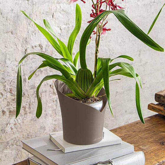 LECHUZA ORCHIDEA Επιτραπέζια Γλάστρα Ø18x20cm Αυτοποτιζόμενη Taupe Matt Γερμανίας
