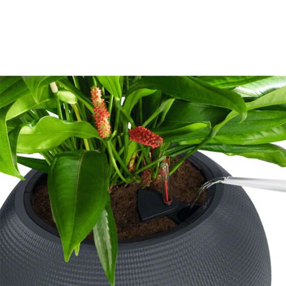 LECHUZA Puro 50 Επιδαπέδια Γλάστρα Ø49x41.5cm Σφαιρική Αυτοποτιζόμενη με Δοχείο Φύτευσης 13lt Sand Brown RedDot Award 2014