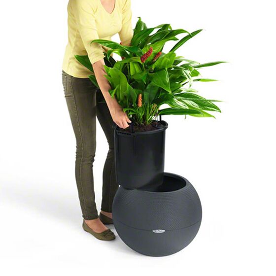 LECHUZA Puro 50 Επιδαπέδια Γλάστρα Ø49x41.5cm Σφαιρική Αυτοποτιζόμενη με Δοχείο Φύτευσης 13lt Sand Brown RedDot Award 2014