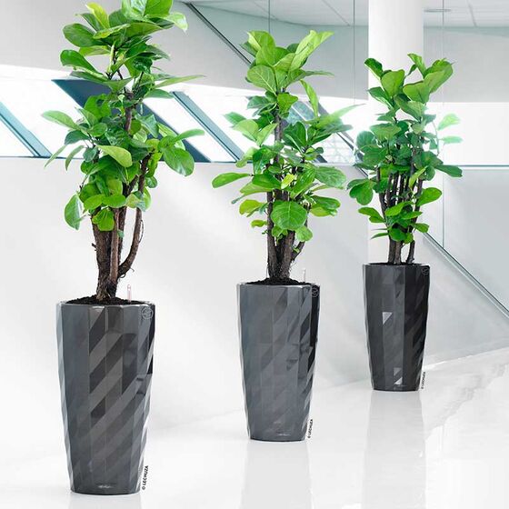 LECHUZA DIAMANTE 40 PREMIUM Ø40x75cm Αυτοποτιζόμενη με Δοχείο Φύτευσης Charcoal Metallic High Gloss Γερμανίας