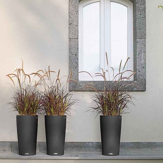 LECHUZA CILINDRO COTTAGE 23 Επιδαπέδια Γλάστρα Ø23x41cm Αυτοποτιζόμενη με Δοχείο Φύτευσης Ανθρακί Γερμανίας