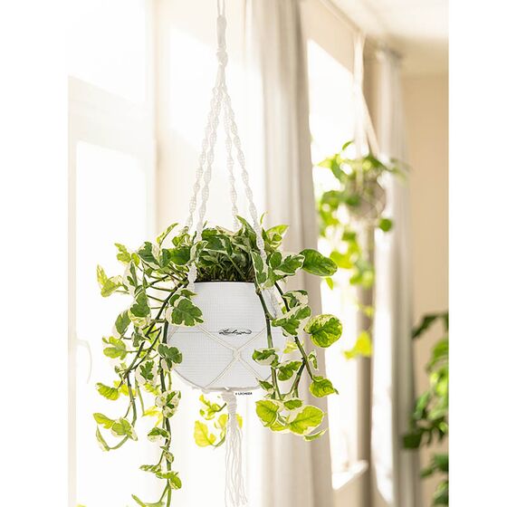 LECHUZA Macrame Ανάρτηση Λευκή για Γλάστρα Puro 20