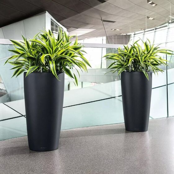 LECHUZA RONDO 40 Premium Επιδαπέδια Γλάστρα Ø40x75cm ΑΥΤΟΠΟΤΙΖΟΜΕΝΗ με Δοχείο Φύτευσης Μαύρη Ματ Γερμανίας