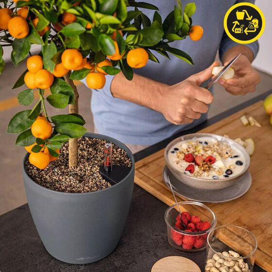 LECHUZA Classico ECO 35 Επιδαπέδια Γλάστρα Ø34.5x32.5cm Αυτοποτιζόμενη Grey Γερμανίας