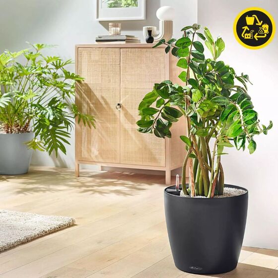 LECHUZA Classico ECO 21 Επιτραπέζια Γλάστρα Ø21.5x20.5cm Αυτοποτιζόμενη Dark Grey Γερμανίας