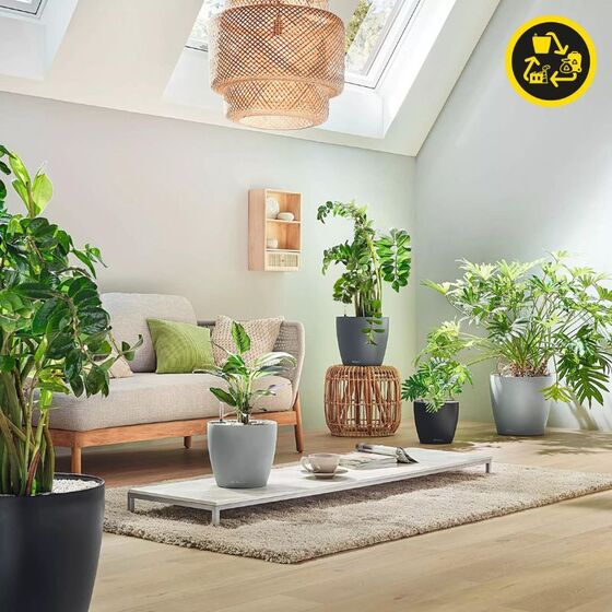 LECHUZA Classico Color ECO 18 Επιτραπέζια Γλάστρα Ø19x17cm Αυτοποτιζόμενη Light Grey Γερμανίας