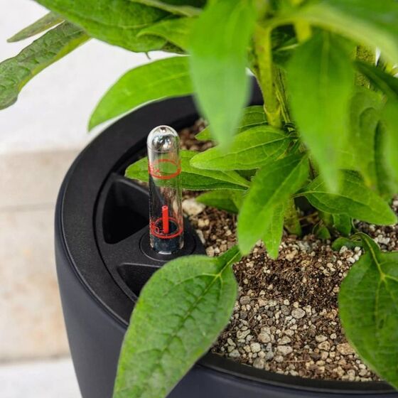 LECHUZA Classico Color LS 21 Επιτραπέζια Γλάστρα Ø21.5x20.5cm Αυτοποτιζόμενη με Δοχείο Φύτευσης Nutmeg Ματ Γερμανίας