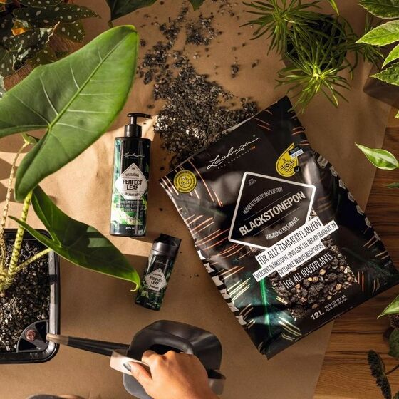 LECHUZA BLACKSTONEPON Υπόστρωμα Φύτευσης 6lt με Λίπασμα σε Μαύρο Χρώμα για Φυτά Εσωτερικού Χώρου για Γλάστρες Lechuza