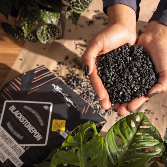 LECHUZA BLACKSTONEPON Υπόστρωμα Φύτευσης 6lt με Λίπασμα σε Μαύρο Χρώμα για Φυτά Εσωτερικού Χώρου για Γλάστρες Lechuza