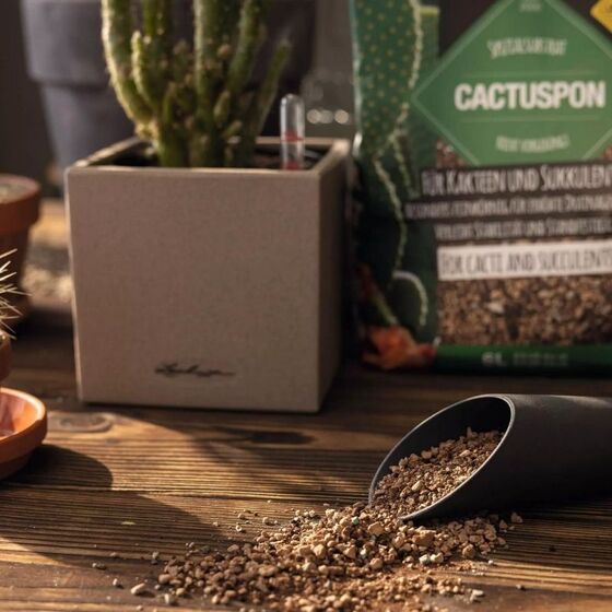 LECHUZA CACTUSPON Υπόστρωμα Φύτευσης 6lt για Κάκτους και Παχύφυτα για Γλάστρες Lechuza