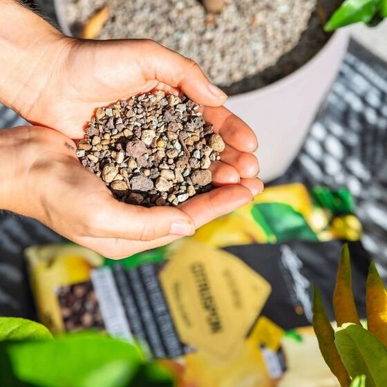 LECHUZA CITRUSPON Υπόστρωμα Φύτευσης 12lt με Λίπασμα για Εσπεριδοειδή για Γλάστρες Lechuza