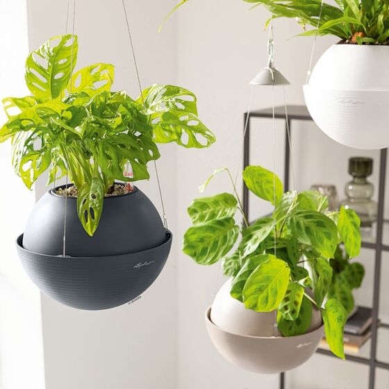 LECHUZA BOLA Color 23 Sand Brown