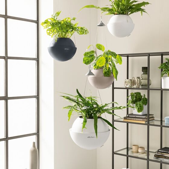 LECHUZA BOLA Color 23 Αυτοποτιζόμενη Λευκή με Κάδο Φύτευσης και Σύστημα Ανάρτησης