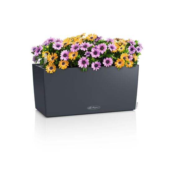 LECHUZA Balconera Color 40 Ζαρντινιέρα 40x19x19cm Αυτοποτιζόμενη με Δοχείο Φύτευσης Slate Γερμανίας