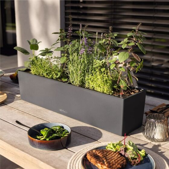 LECHUZA Balconera Color 100 Ζαρντινιέρα 100x19x19cm Αυτοποτιζόμενη με Δοχείο Φύτευσης Λευκή Γερμανίας