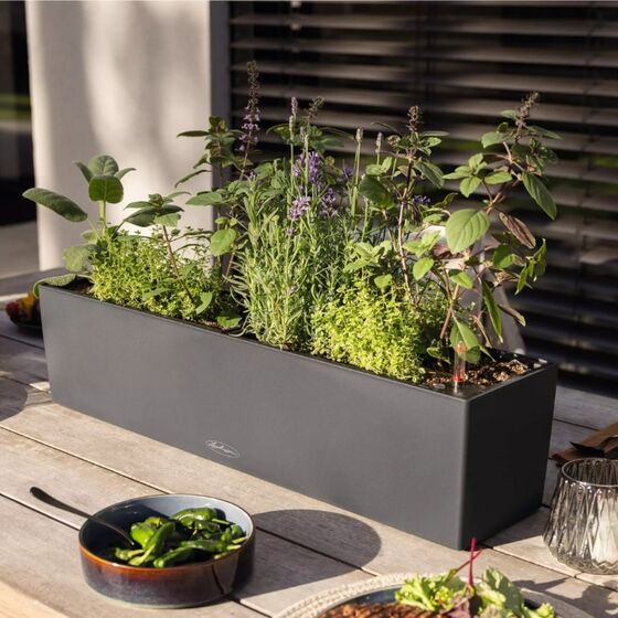 LECHUZA Balconera Color 80 Ζαρντινιέρα 79x19x19cm Αυτοποτιζόμενη με 2 Δοχεία Φύτευσης Linde Γερμανίας