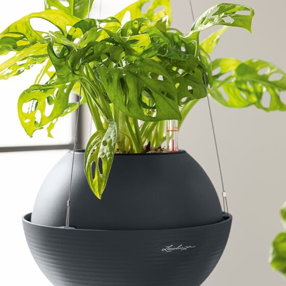 LECHUZA BOLA Color 32 Ανθρακί Με Σύστημα Ανάρτησης