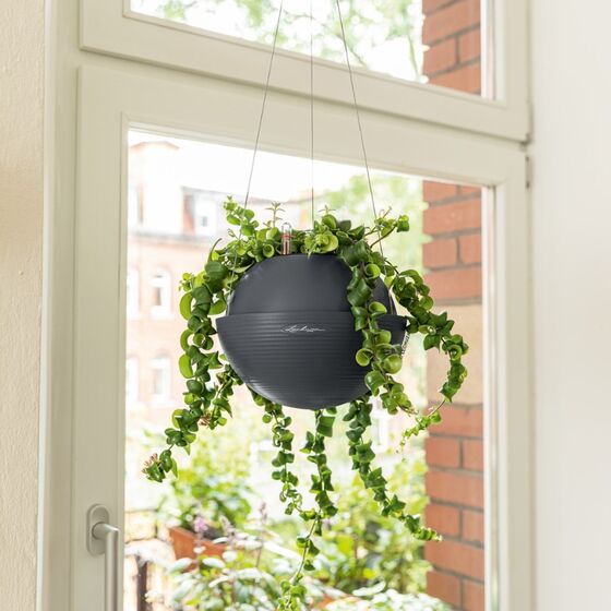 LECHUZA BOLA Color 32 Ανθρακί Με Σύστημα Ανάρτησης