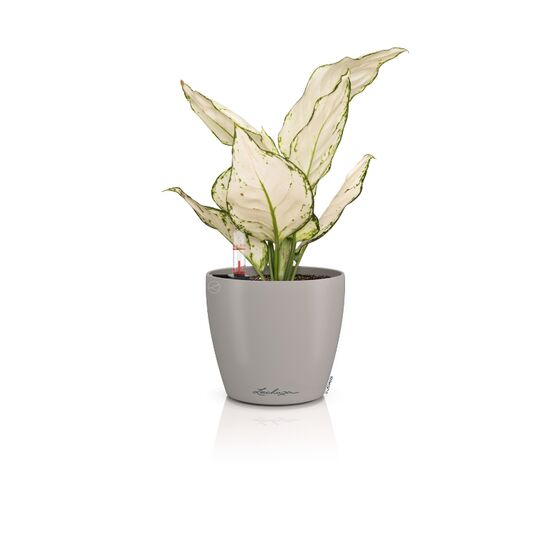 LECHUZA Classico Color 14 Επιτραπέζια Γλάστρα Ø15x14cm Αυτοποτιζόμενη Sand Brown Γερμανίας