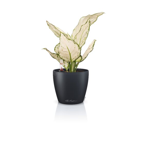 LECHUZA Classico Color 12 Επιτραπέζια Γλάστρα Ø13x12cm Αυτοποτιζόμενη Slate Γερμανίας