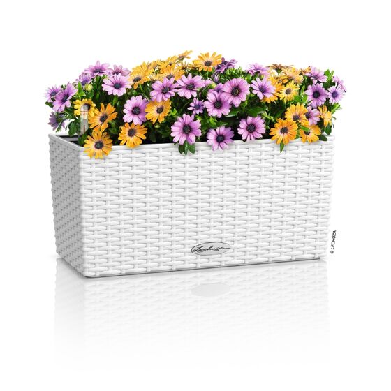 LECHUZA Balconera Cottage 40 Ζαρντινιέρα 40x19x19cm Αυτοποτιζόμενη με Δοχείο Φύτευσης Λευκή Γερμανίας