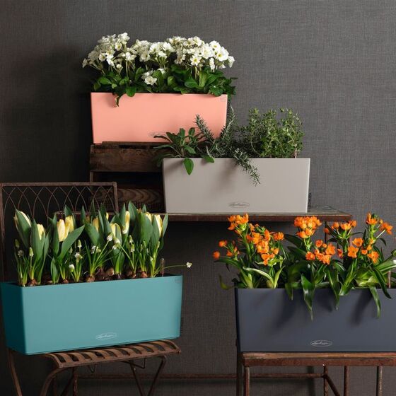 LECHUZA Balconera Color 50 Ζαρντινιέρα 50x19x19cm Αυτοποτιζόμενη με Δοχείο Φύτευσης Linde Γερμανίας