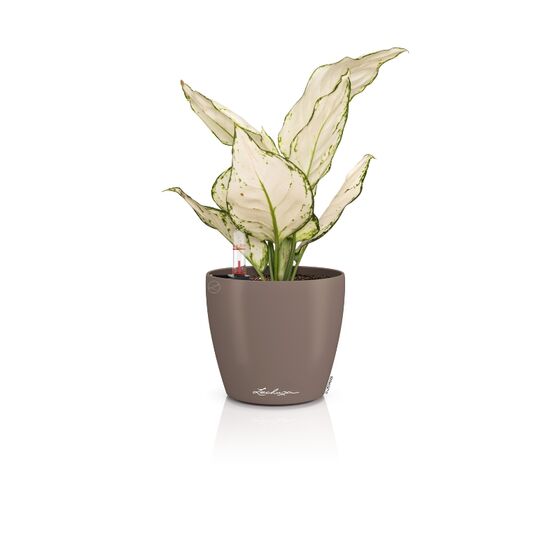 LECHUZA Classico Color 14 Επιτραπέζια Γλάστρα Ø15x14cm Αυτοποτιζόμενη Nutmeg Γερμανίας