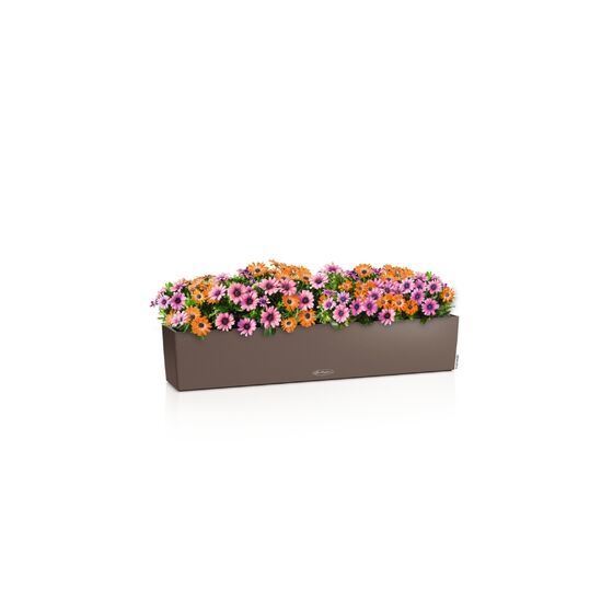 LECHUZA Balconera Color 100 Ζαρντινιέρα 100x19x19cm Αυτοποτιζόμενη με Δοχείο Φύτευσης Nutmeg Γερμανίας